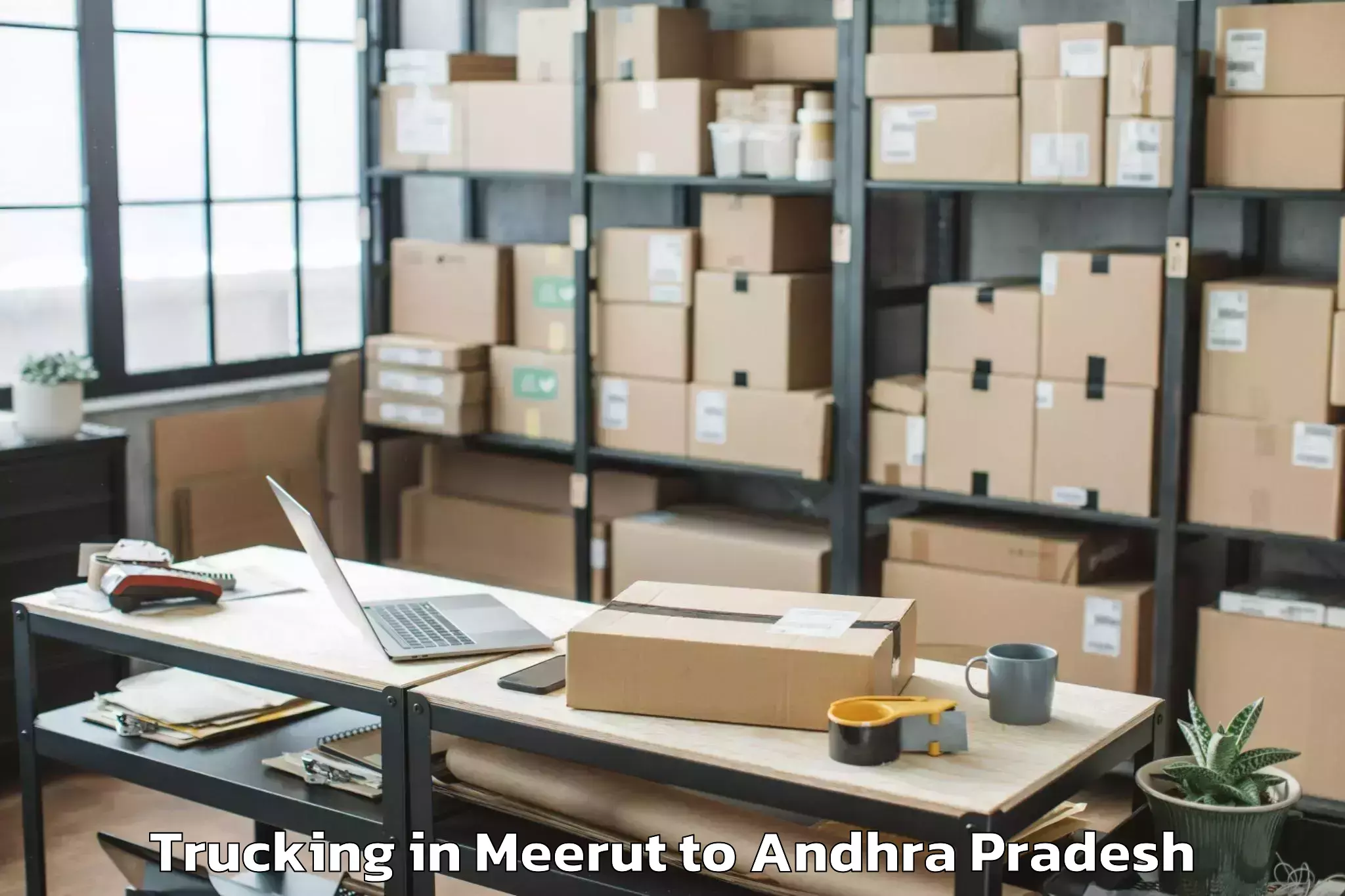 Leading Meerut to Chejerla Trucking Provider